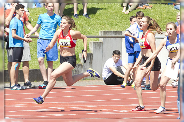 170525_1DIV1425.jpg