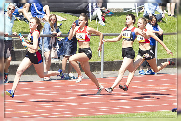 170525_1DIV1401.jpg